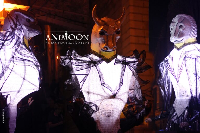 Animoon