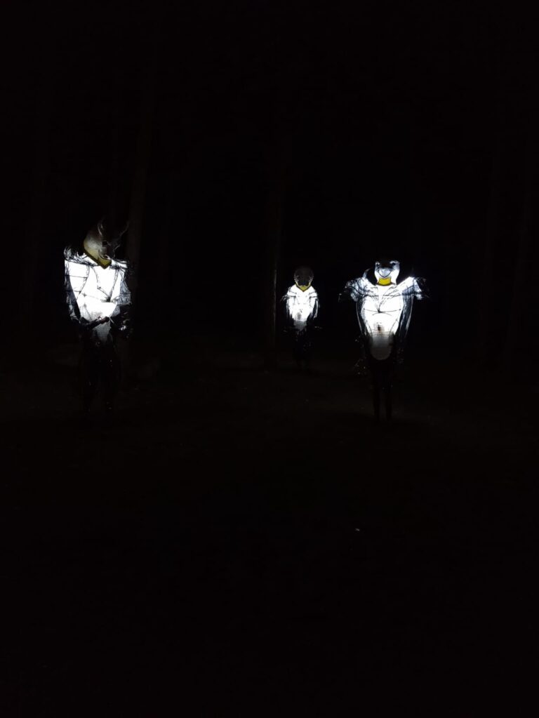 Animoon