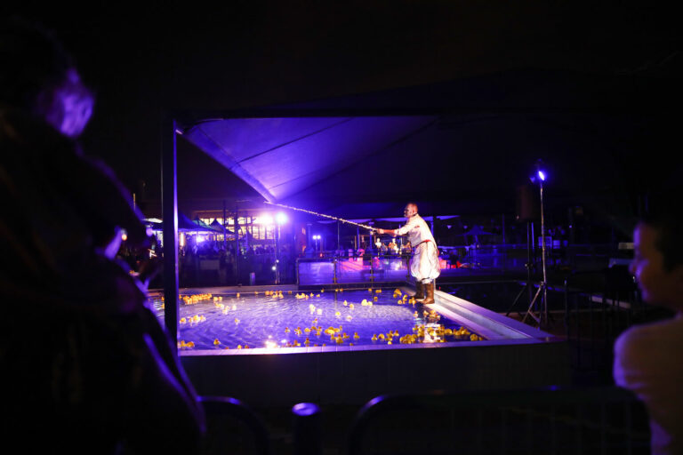 The Duck Fisher