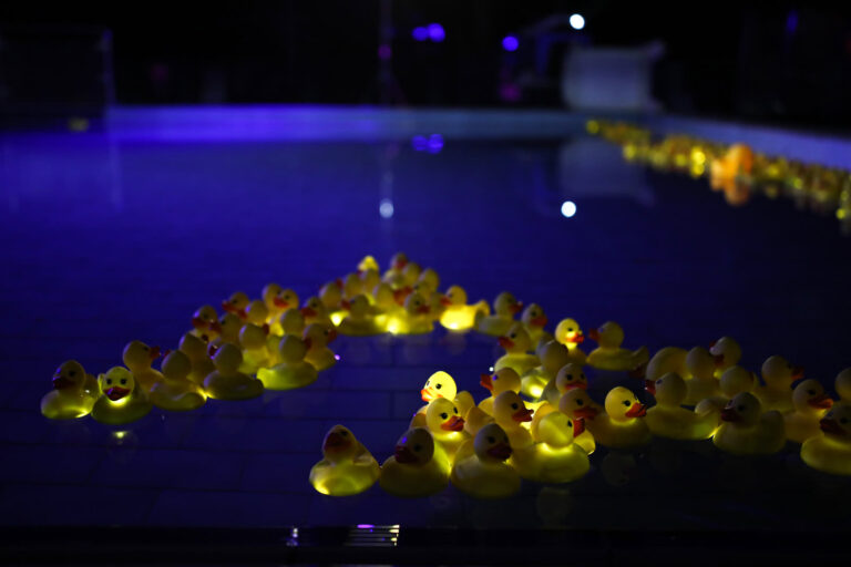 The Duck Fisher