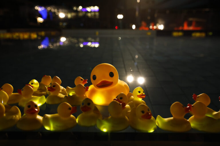 The Duck Fisher